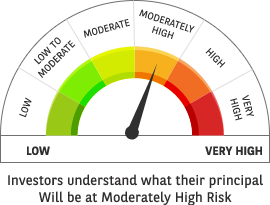 Riskometer